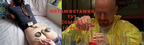 прущие грибы Абдулино
