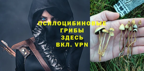 эйфоретик Абаза