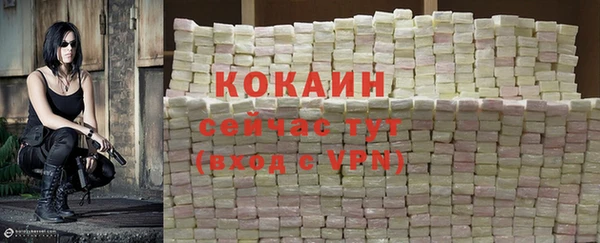 прущие грибы Абдулино