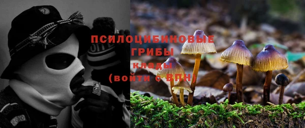 эйфоретик Абаза